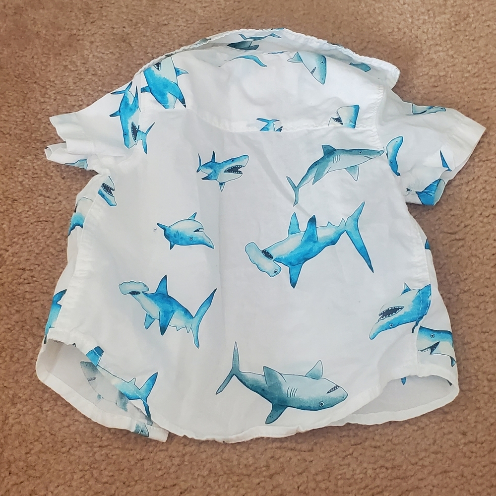 Buttoned Down Shark Shirt - Picture 4 of 7